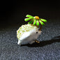 CINDY XIANG Cute Hedgehog Brooch Fashion Daisy Brooches For Women Animal Jewelry Funny Winter Design High Quality