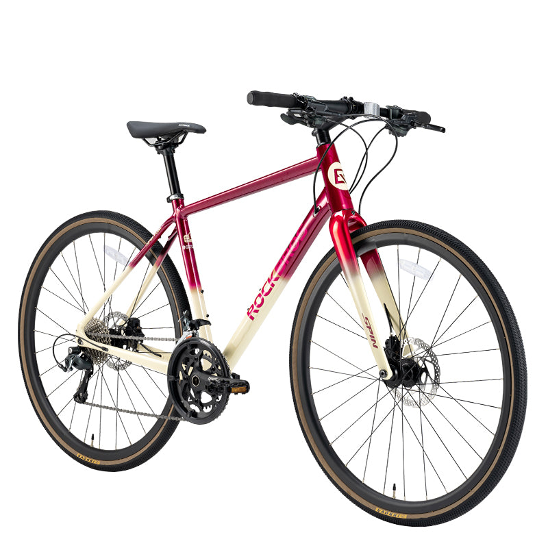 SPIN-P2M Carbon Fiber Fork Aluminum Frame Road Bike