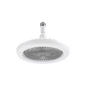 E27 Fan Light Shaking Head Electric Fan Remote Control Bedroom Living Room Dimmable Home Ceiling Fan Light