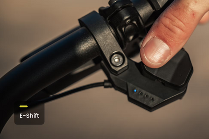 Aventon Aventure.M E-Bike
