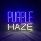 Purple Haze Beer Neon Sign Light