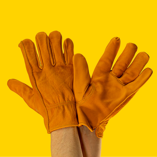 Advanced Gloves	Premium Leather Driver Gloves S-411P