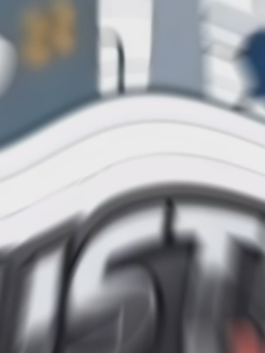 Z87 Safety Glasses by Industrial Drip -Spider