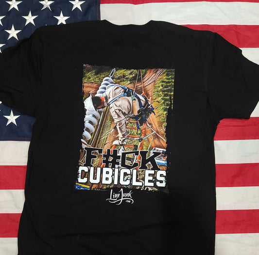Cubicles 096